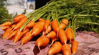 Os benefícios da cenoura para uma vida saudável