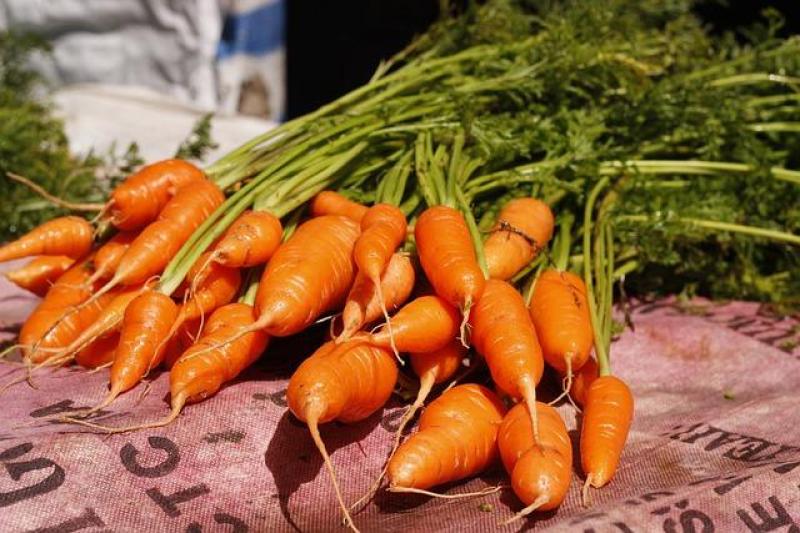 Os benefícios da cenoura para uma vida saudável