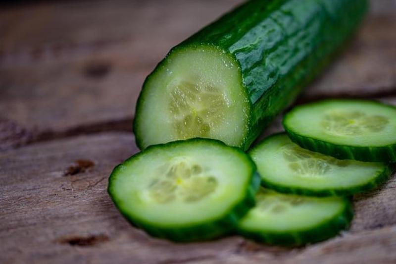 Pepino é um importante alimento na sua mesa